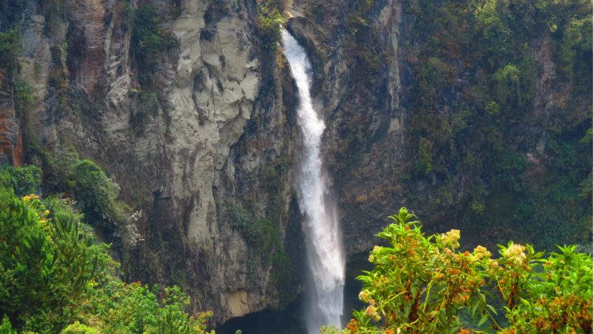 DE LOS MICROMUNDOS Y LA INTELIGENCIA EXCESIVA