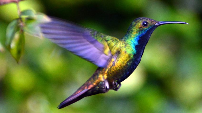 ACERCA DE LA ESTADÍSTICA Y EL DISCLAIMER