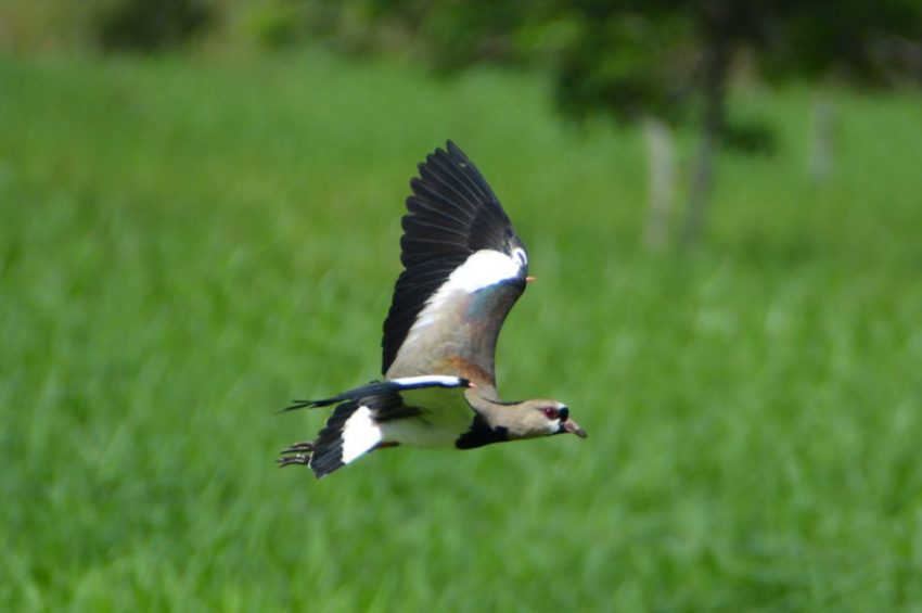 DE LOS SISTEMAS COMPLEJOS, SU ESCALABILIDAD Y LOS BUROCRATAS.